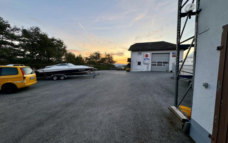 IMG_7311.jpg